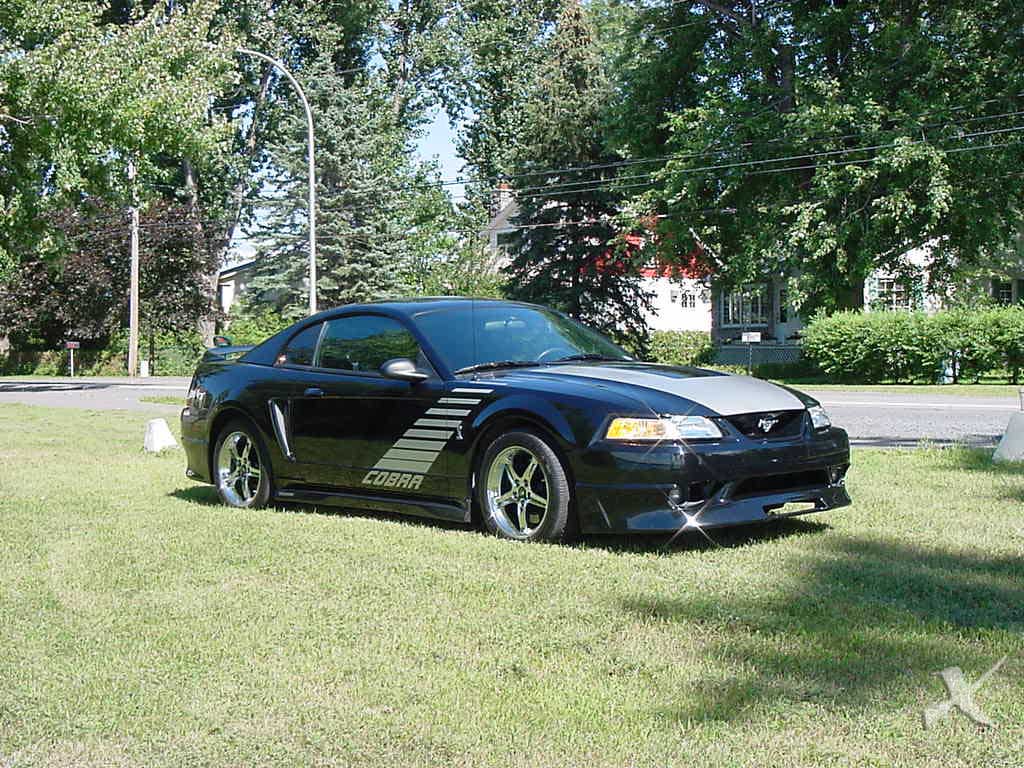19  Ford Mustang SVT Cobra picture, mods, upgrades