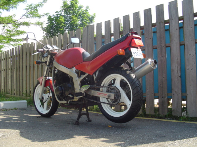 1992  Suzuki Motorcycle GS500E picture, mods, upgrades