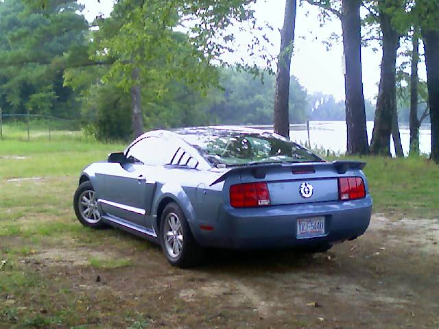 2005  Ford Mustang V6 picture, mods, upgrades