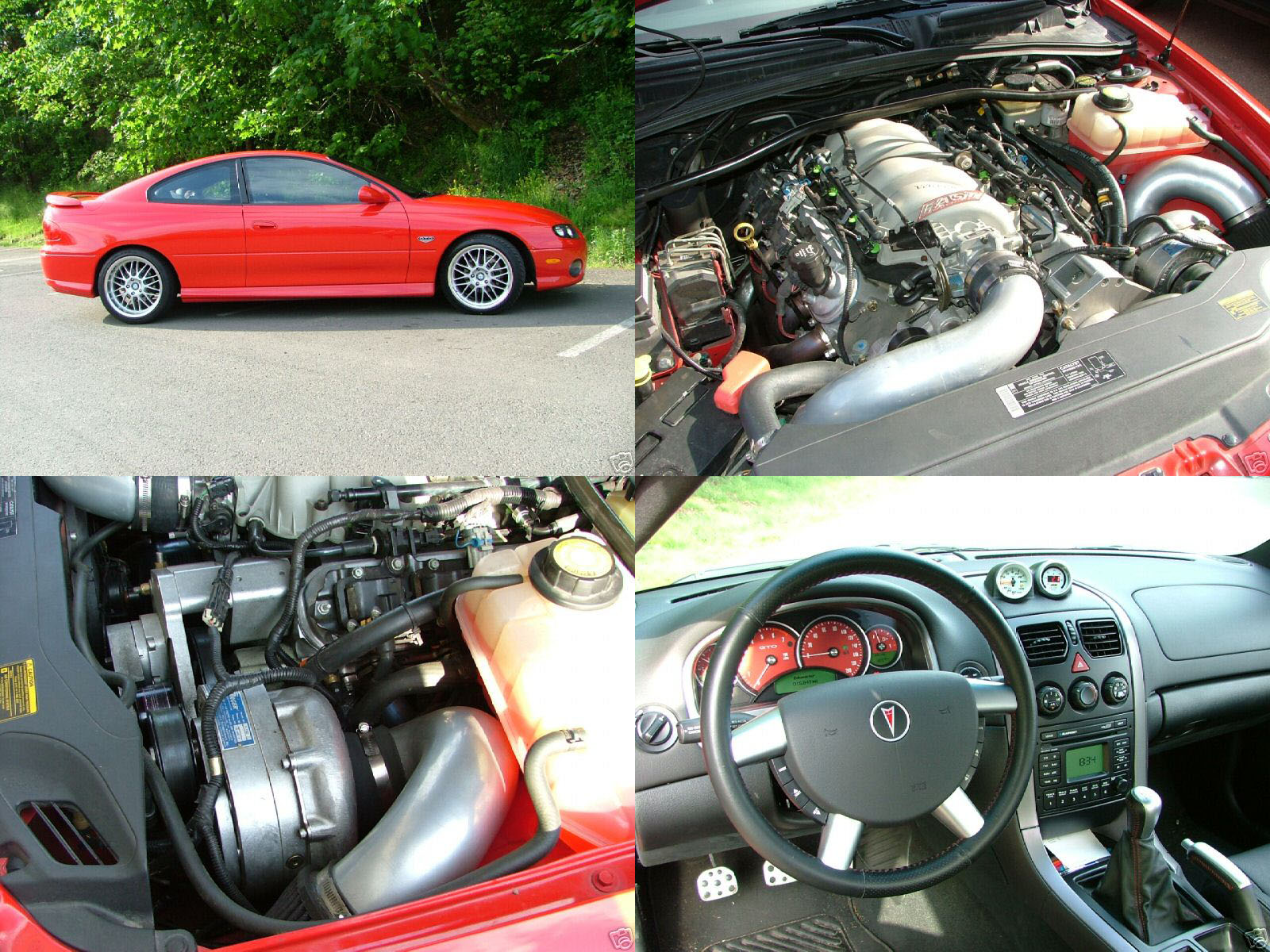 2004  Pontiac GTO ProCharger Supercharger picture, mods, upgrades
