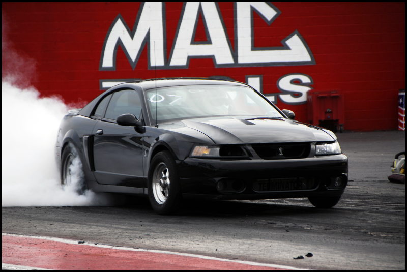 2003  Ford Mustang  cobra picture, mods, upgrades
