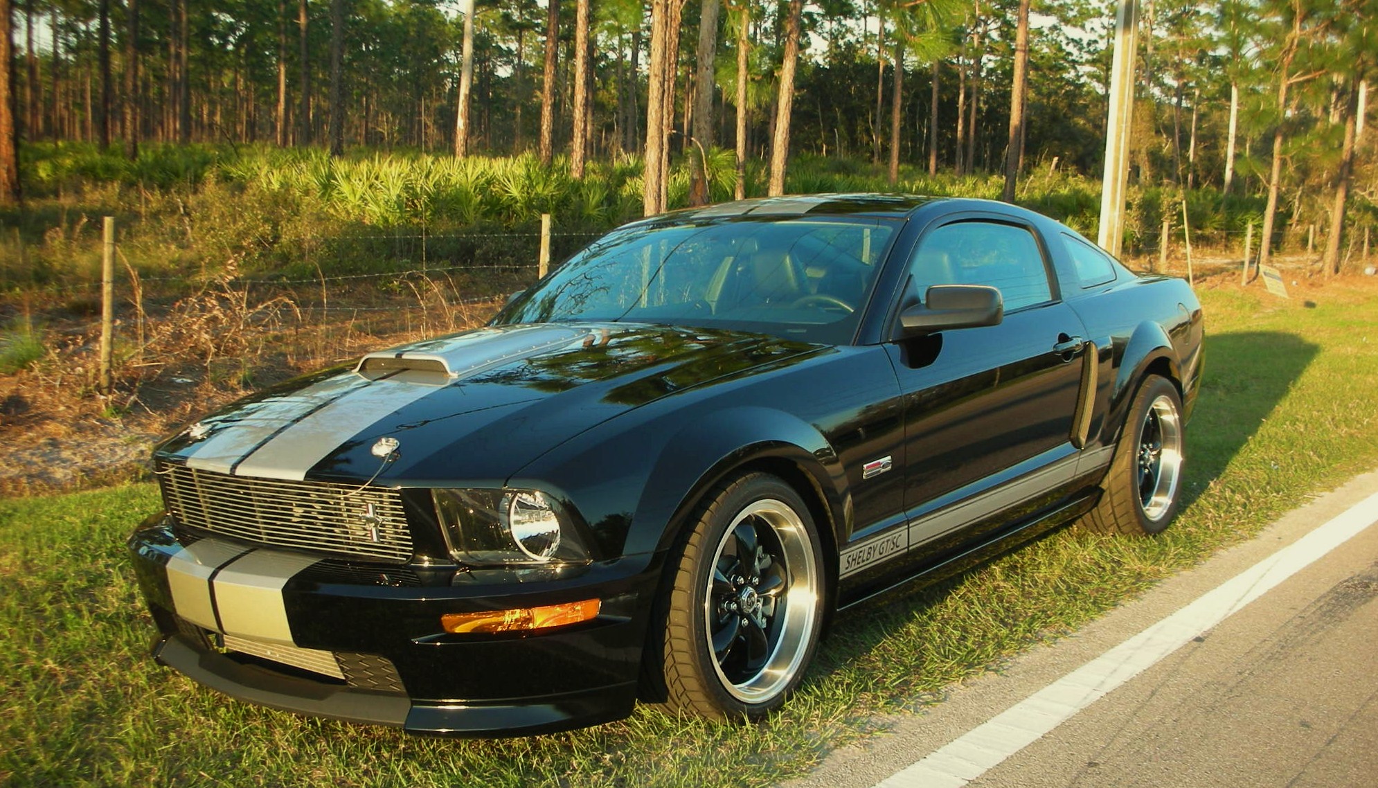  2007 Ford Mustang Shelby GT SC
