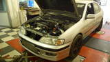 2001  Nissan Primera gx picture, mods, upgrades