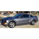 2006  Ford Mustang GT picture, mods, upgrades