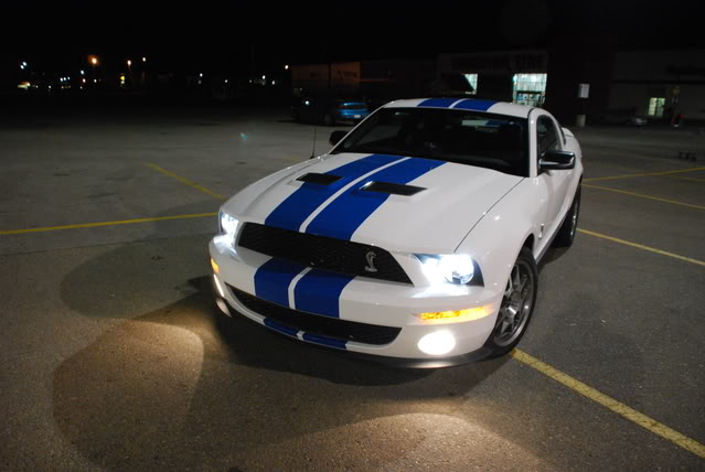 2009  Ford Mustang Shelby-GT500 Coupe picture, mods, upgrades