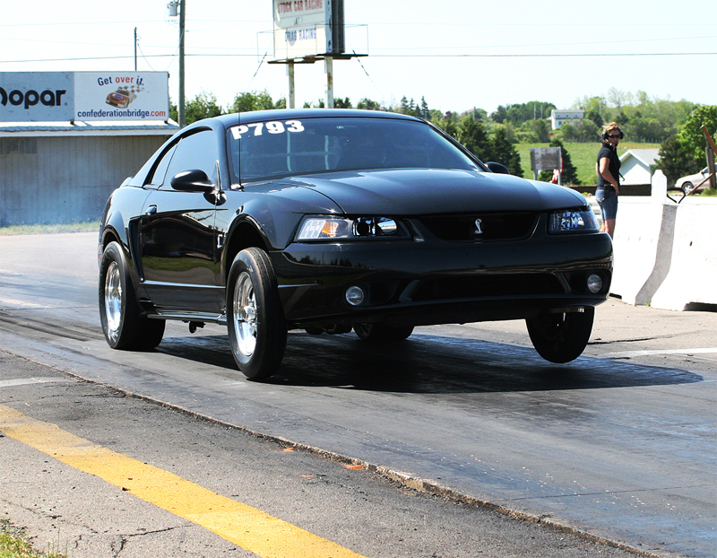 1999  Ford Mustang Cobra picture, mods, upgrades