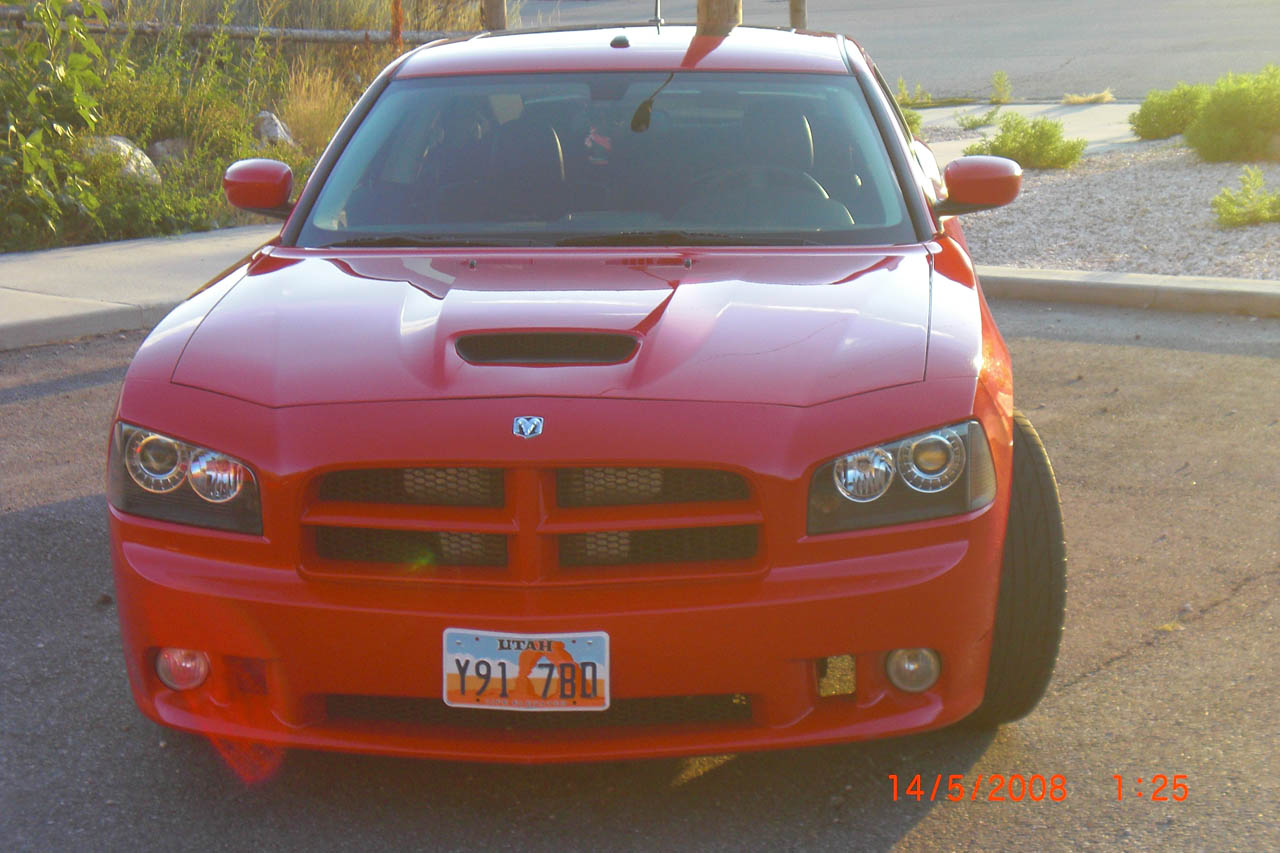 2008  Dodge Charger SRT8 Procharger P1SC picture, mods, upgrades