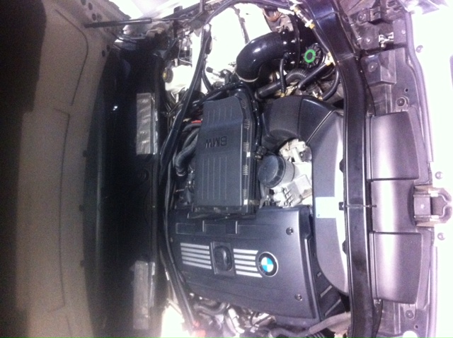  2008 BMW 335xi 