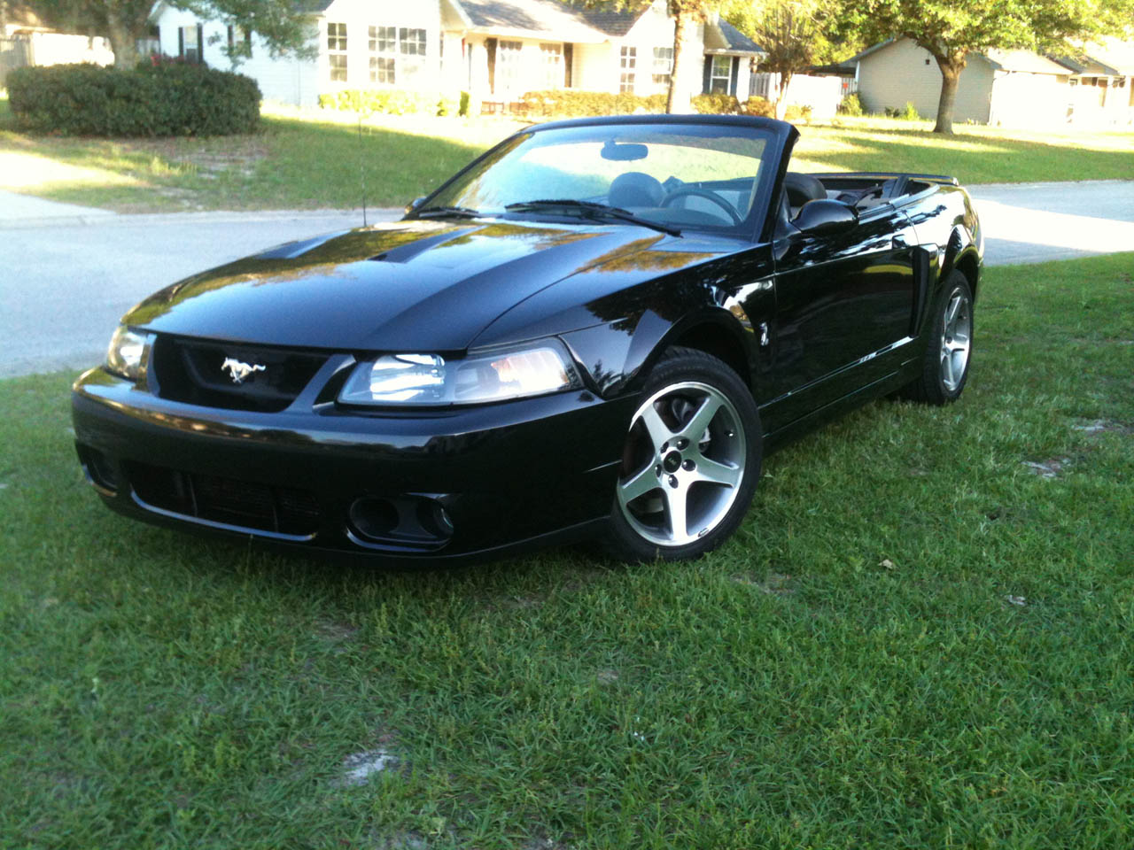 2003 Black Ford Mustang Cobra Eaton Supercharged picture, mods, upgrades