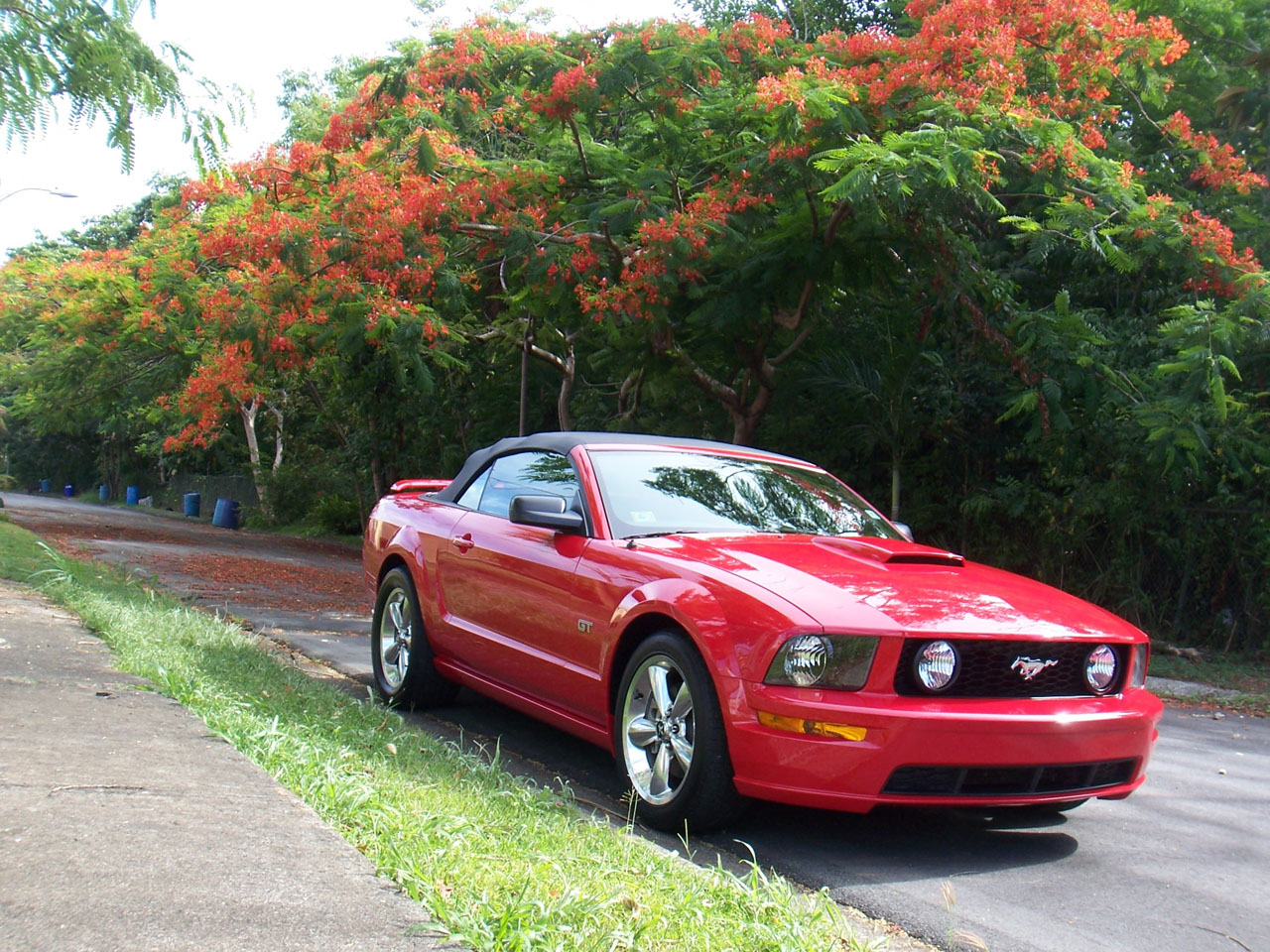 2007 Red Ford Mustang Convertible GT Roush Stage 1 picture, mods, upgrades