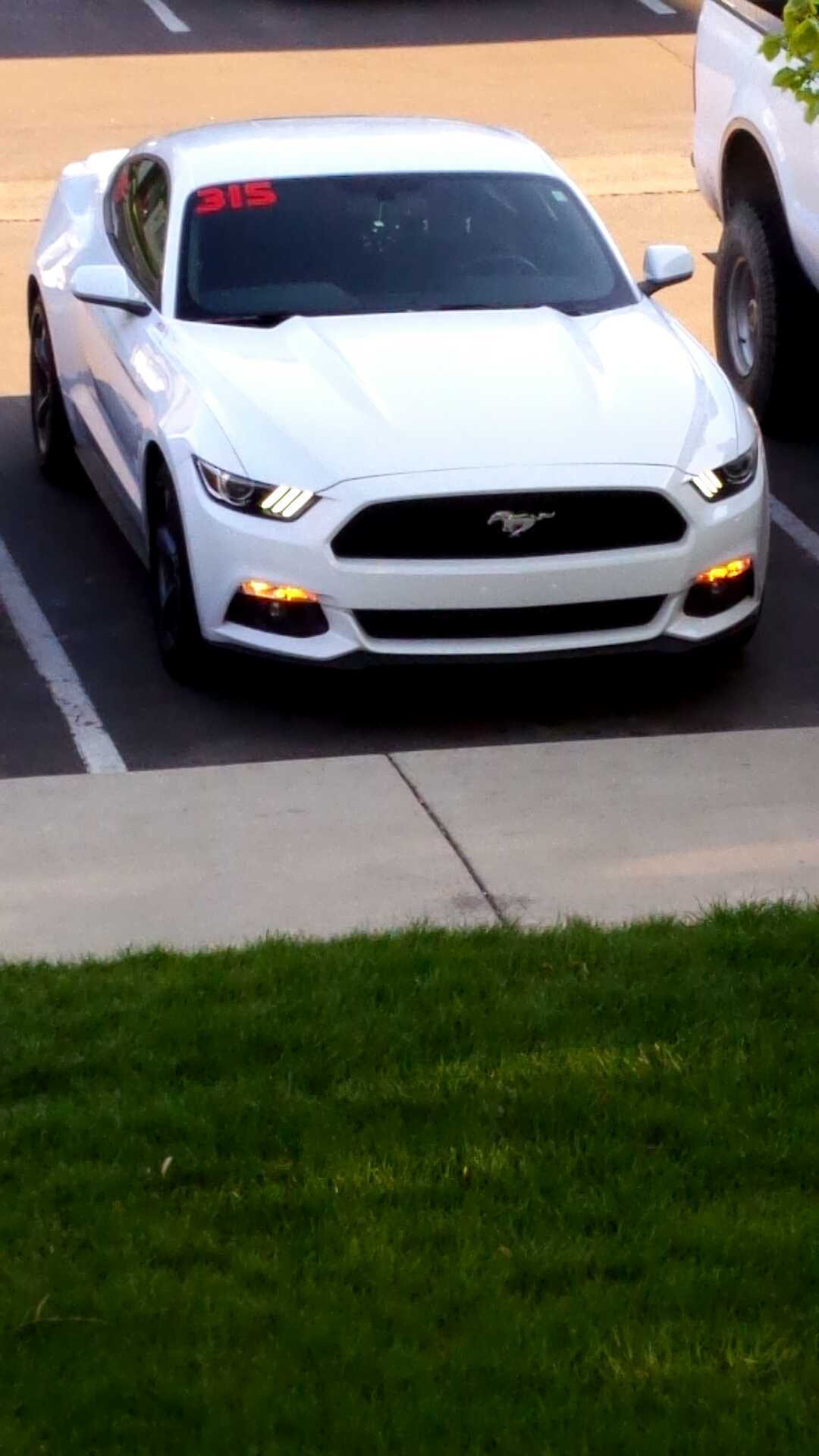 Oxford White 2015 Ford Mustang Ecoboost