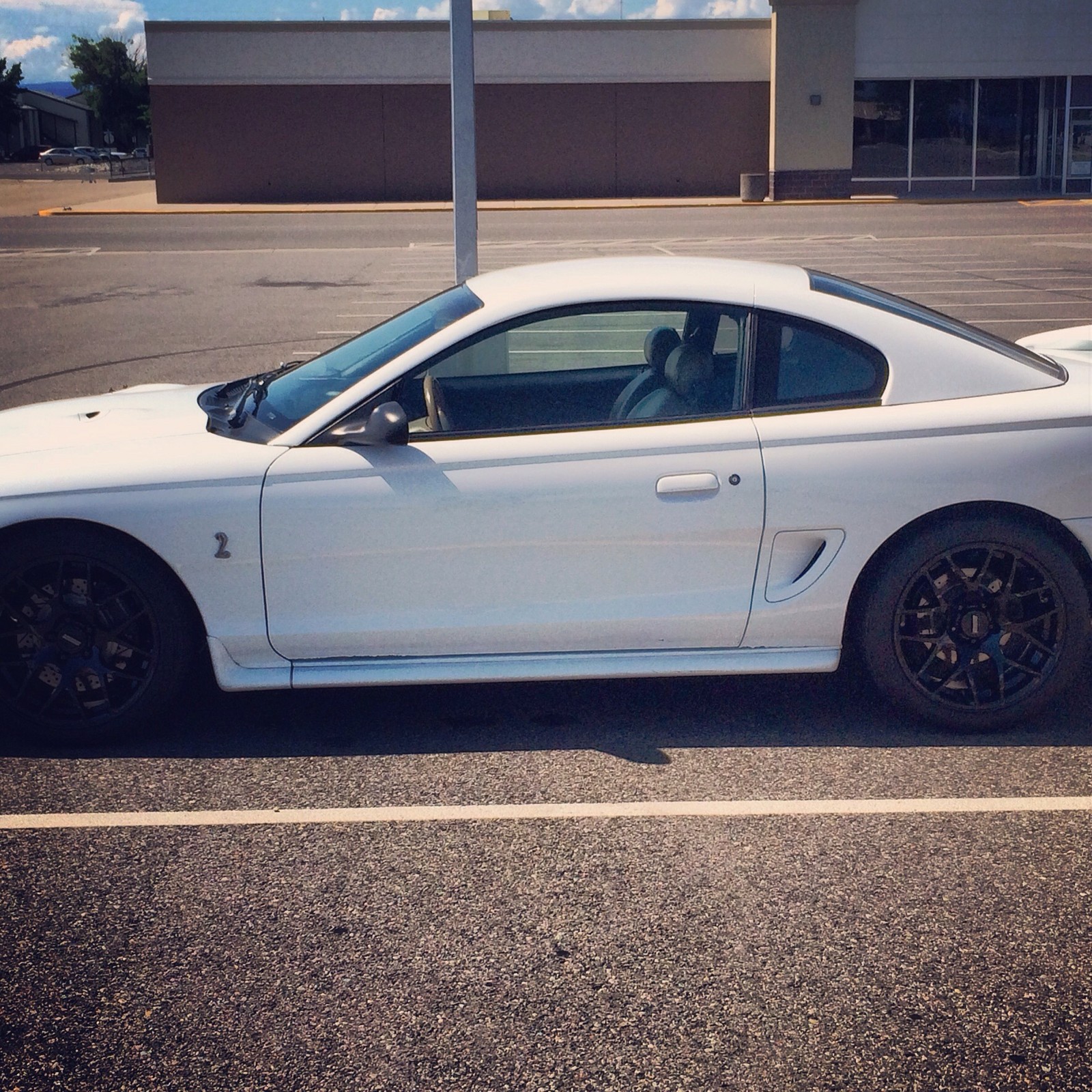1996 white Ford Mustang Cobra picture, mods, upgrades