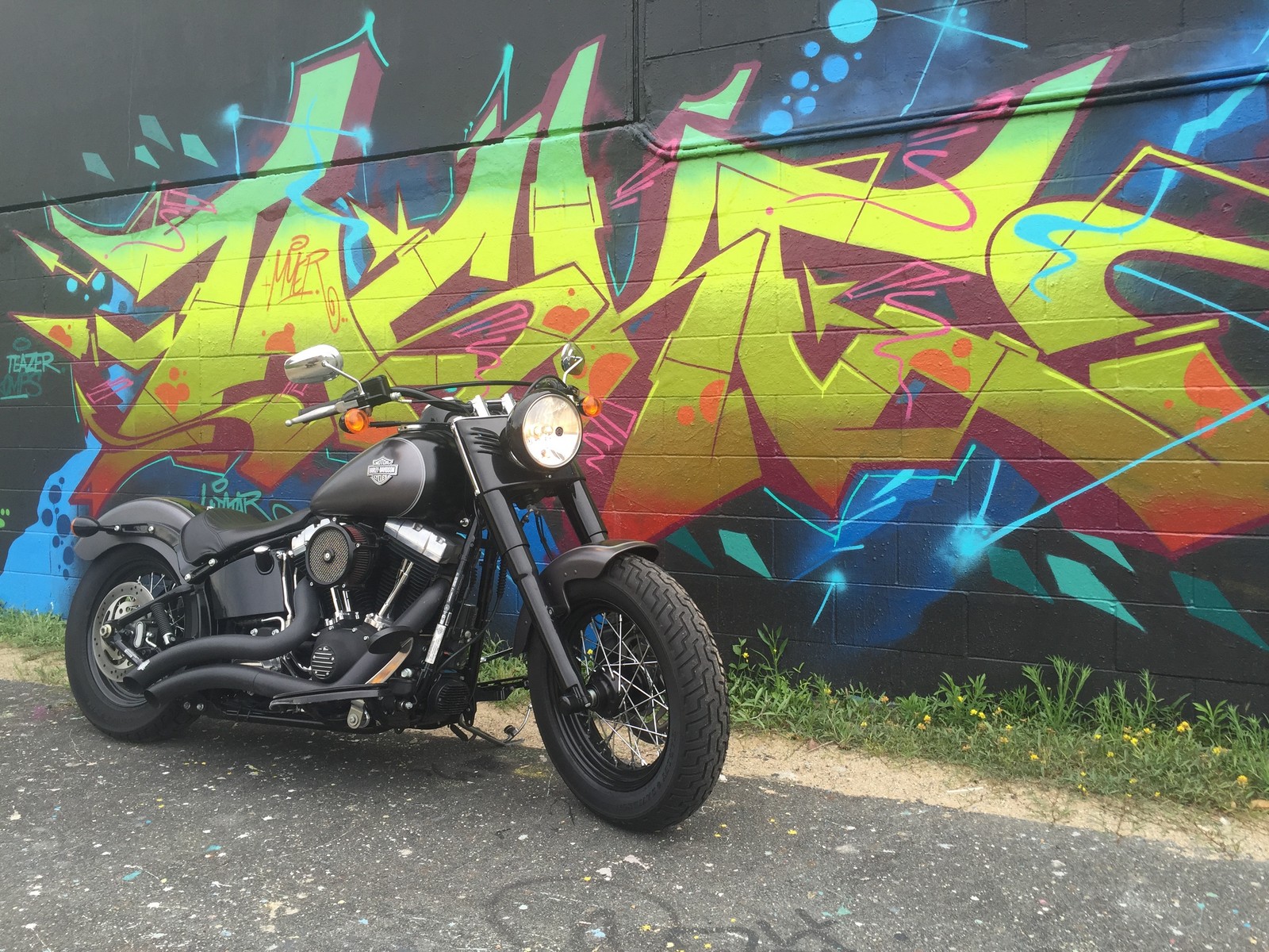 BLACK GREY 2014 Harley-Davidson Softail FLS