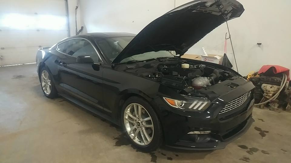 Shadow Black 2016 Ford Mustang Ecoboost