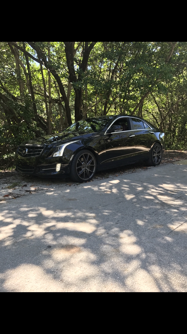 2013 Black Cadillac ATS Performance picture, mods, upgrades