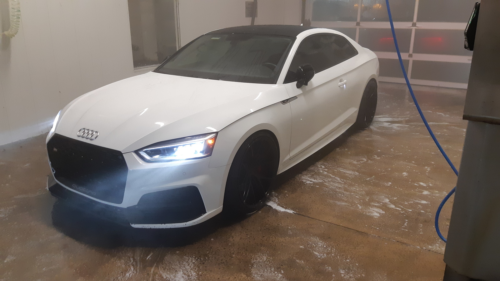 2018 Ibis white Audi S5 Coupe picture, mods, upgrades