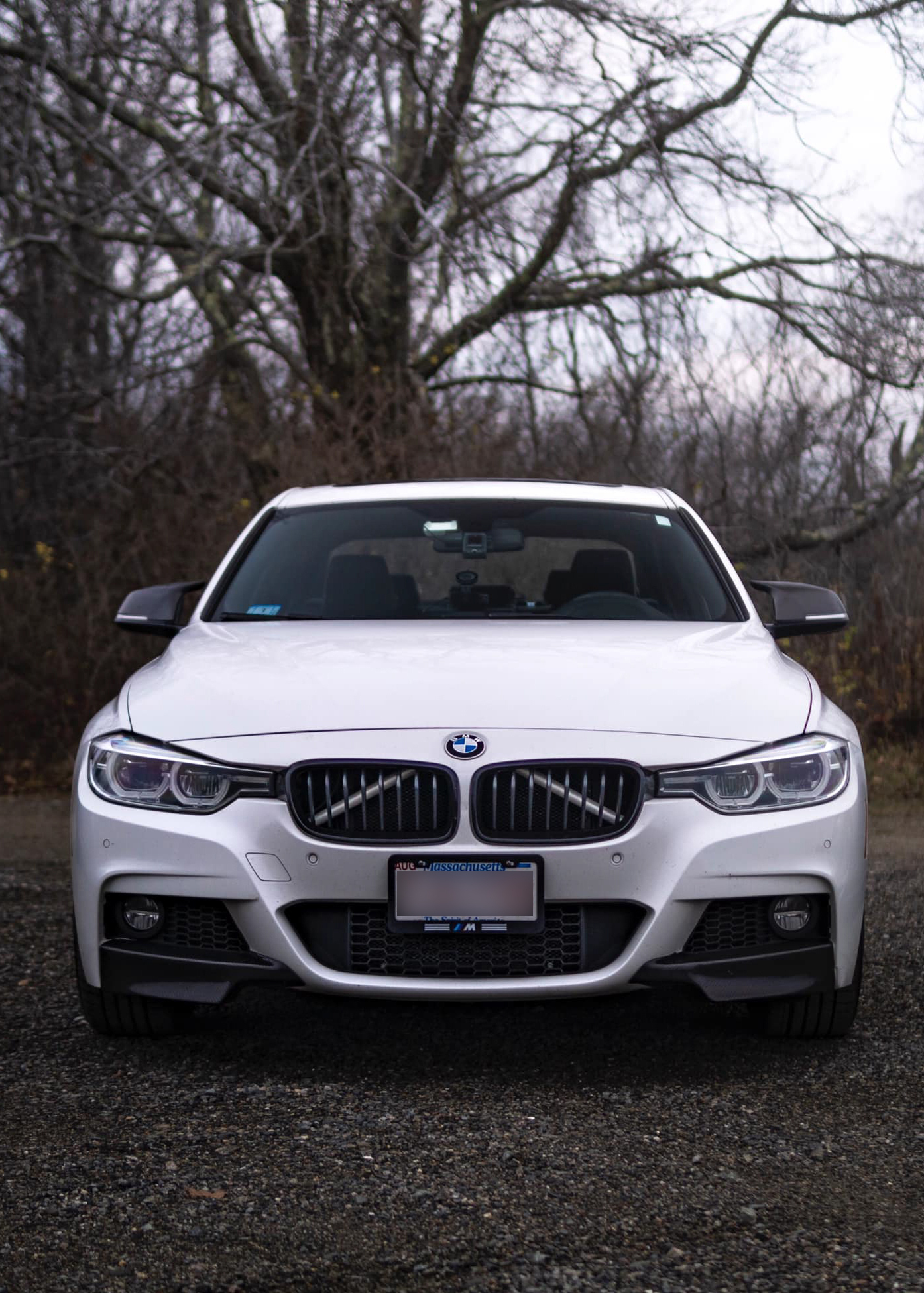 2016  BMW 340xi  picture, mods, upgrades