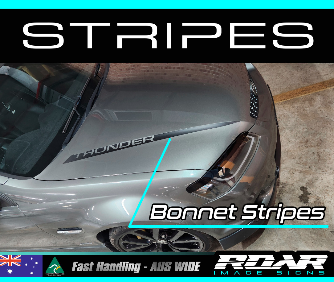 AM BONNET STRIPES fit 2006-2013 Holden VE Commodore stickers HSV SS Thunder