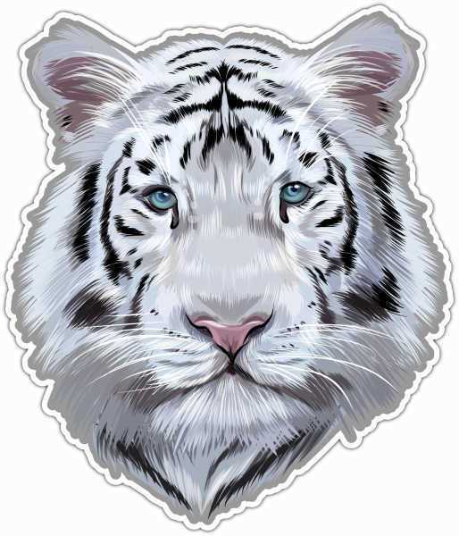 White Bengal Siberian Tiger Wild Animal Car Bumper Vinyl Sticker Decal 4.6\