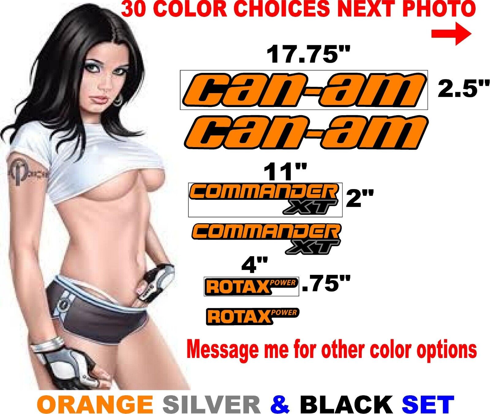 CAN AM COMMANDER  ROTAX CANAM DECAL DECALS REPLACEMENT message for other colors
