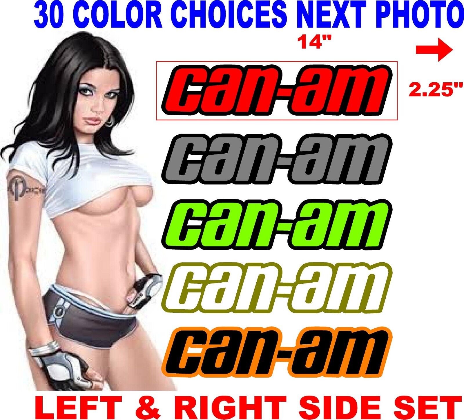 CAN-AM CANAM RYKER SPYDER BPR DECALS DECAL 2 COLOR 30 color choices