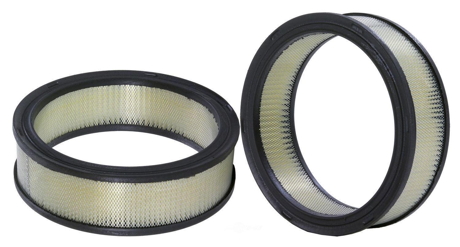 ProTec WIX Air Filter for Chevrolet Celebrity 1982-1990 with 2.5L 4cyl Engine
