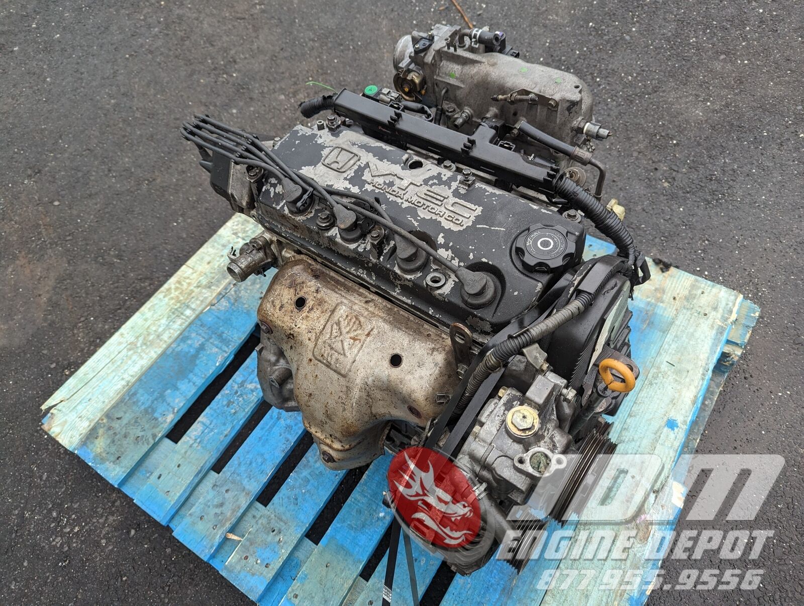 1998 Acura 2.3CL 2.3L 4CYL Engine JDM F23A 2336533