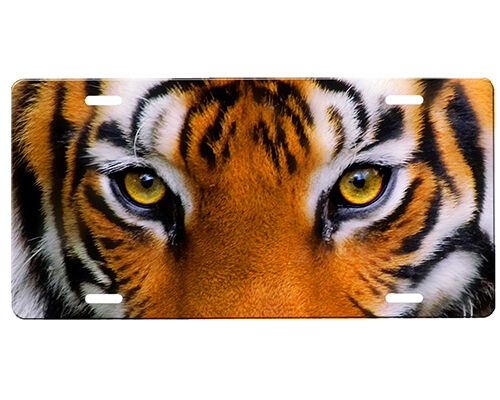 Tiger Eyes License Plate