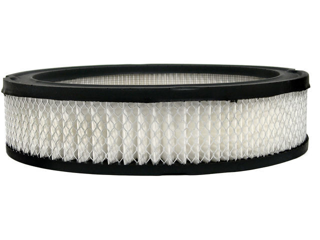 For 1975-1980 American Motors Pacer Air Filter AC Delco 61149QCFX 1976 1977 1978