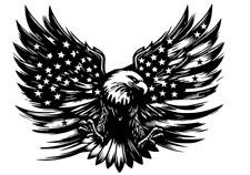 American Flag Eagle Wings Premium Vinyl Decal Sticker picture