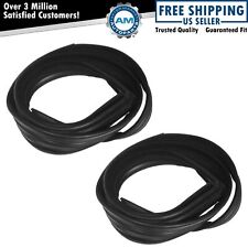 Window Glass Run Channel Weatherstrip Seal Set Pair for Ford Mustang Capri picture
