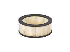 Motorcraft 42BF21V Air Filter Fits 1969, 1977-1982 Ford F100 Air Filter picture