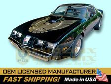 1981 Trans Am Special Edition Bandit Firebird Decals Stripes 2-Color COMPLETE picture