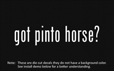 (2x) got pinto horse? Sticker Die Cut Decal vinyl picture