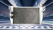 FOR Ducati Hypermotard Hyperstrada 821 939 Racing Super Cooling Radiator picture