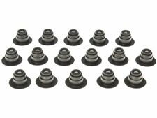 For 1999-2000 Panoz AIV Roadster Valve Stem Seal Kit Mahle 21311QV picture