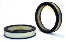 Air Filter-2BBL PROTEC-NEW PXA42101 picture