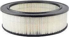 Baldwin Air Filter for 240D, 300CD, 300D, 230, 300SD PA2081 picture