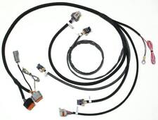 Daytona Sensors SmartSpark LS2/LS7 Remote Mnt Wire Harness 119005 picture