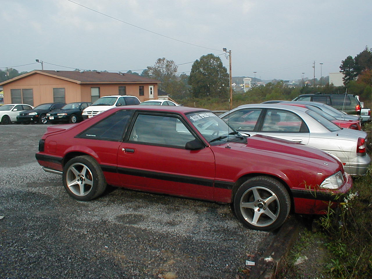 1989 Ford mustang lx specs #1