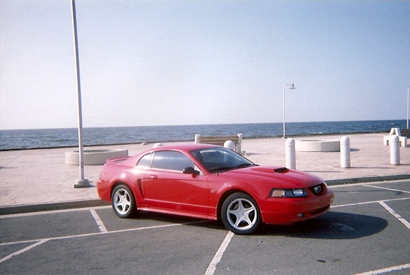 2000  Ford Mustang GT picture, mods, upgrades