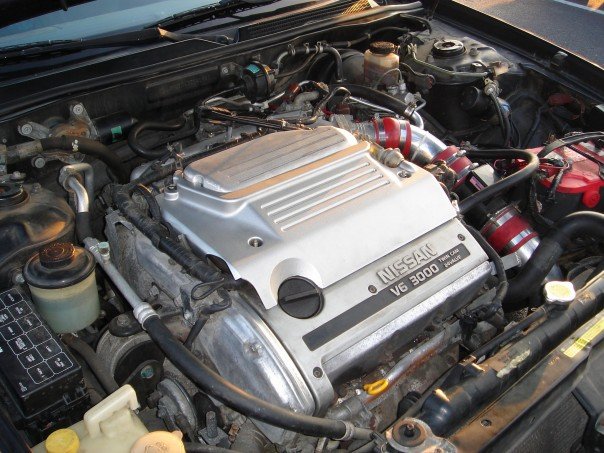 1995  Nissan Maxima SE picture, mods, upgrades