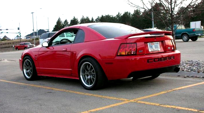 1999  Ford Mustang SVT Cobra picture, mods, upgrades