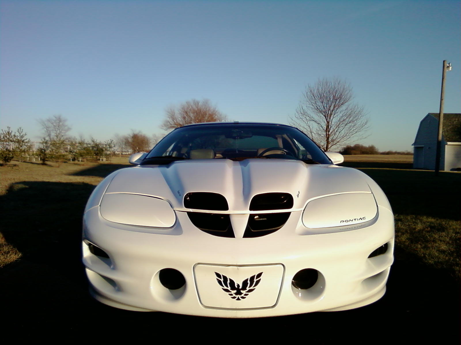 1998  Pontiac Trans Am Nitrous picture, mods, upgrades