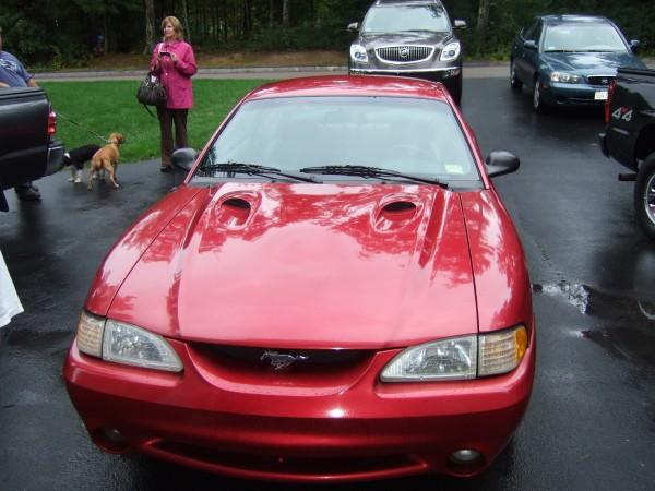 1998  Ford Mustang Cobra SVT picture, mods, upgrades