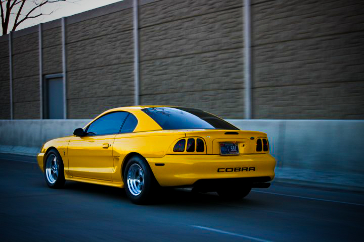 1998  Ford Mustang Cobra picture, mods, upgrades