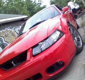 2003  Ford Mustang Cobra stock eaton M112 picture, mods, upgrades