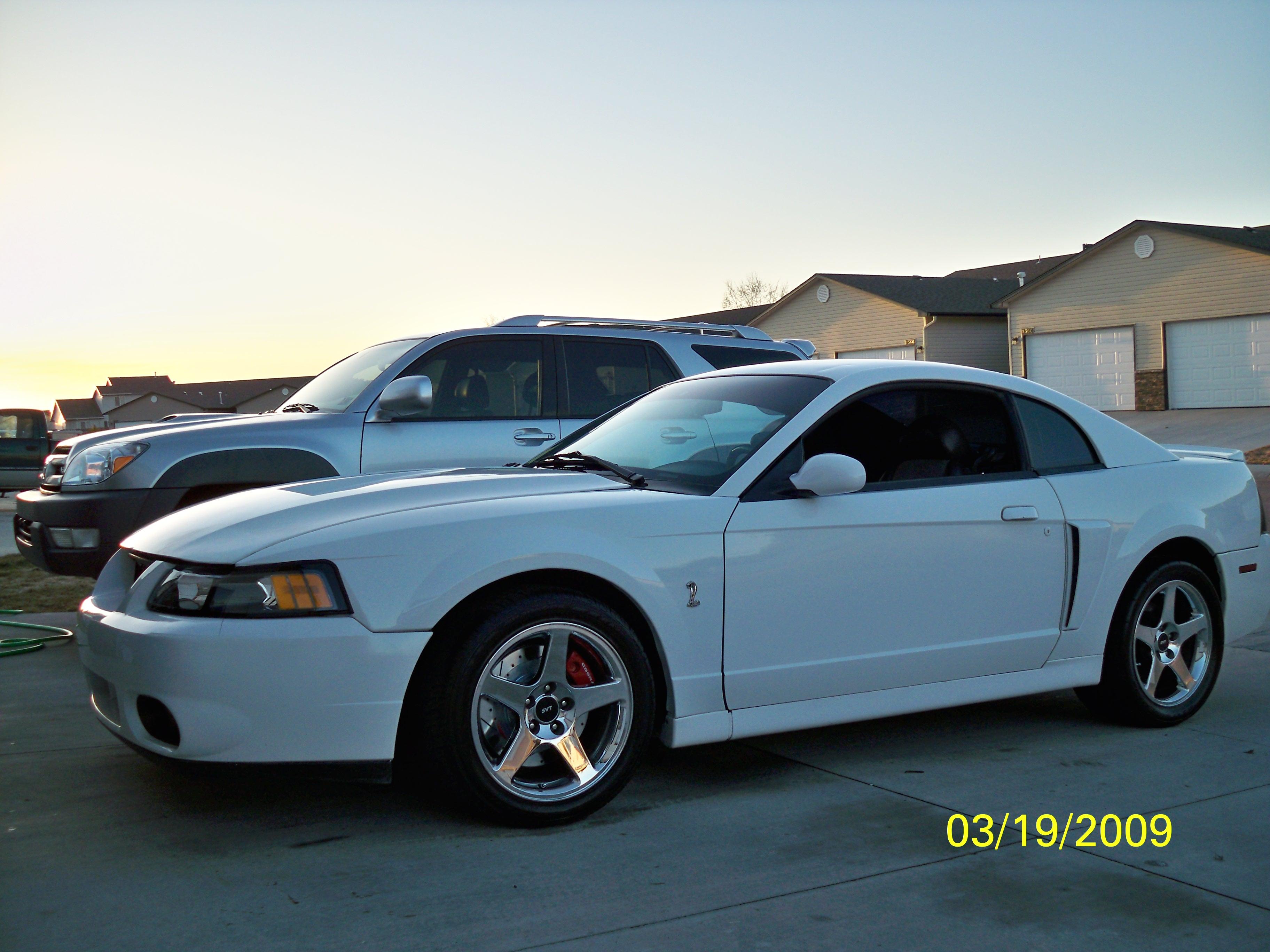 2003 Ford mustang cobra performance parts #2