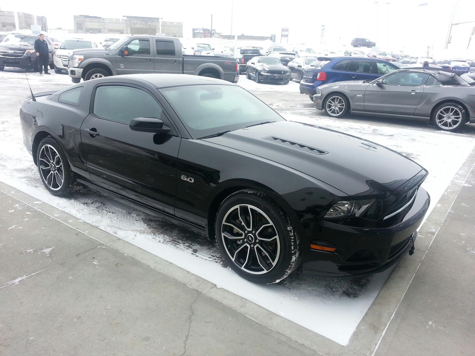2013 Black Ford Mustang GT Premium picture, mods, upgrades