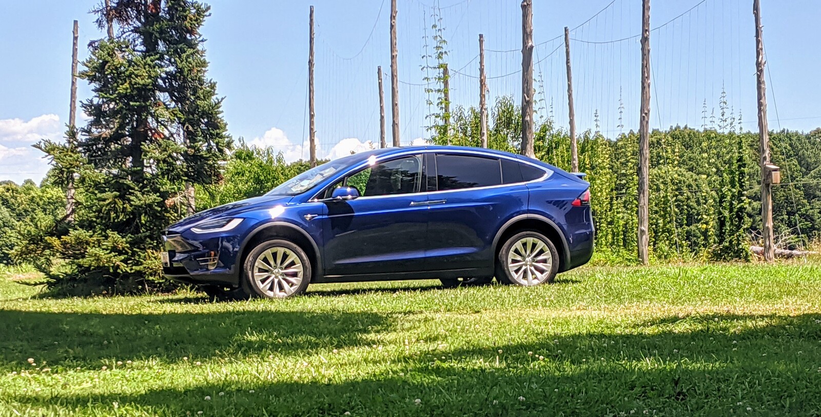 2020 Deep blue metallic Tesla Model X Performance raven with cheetah stance update picture, mods, upgrades